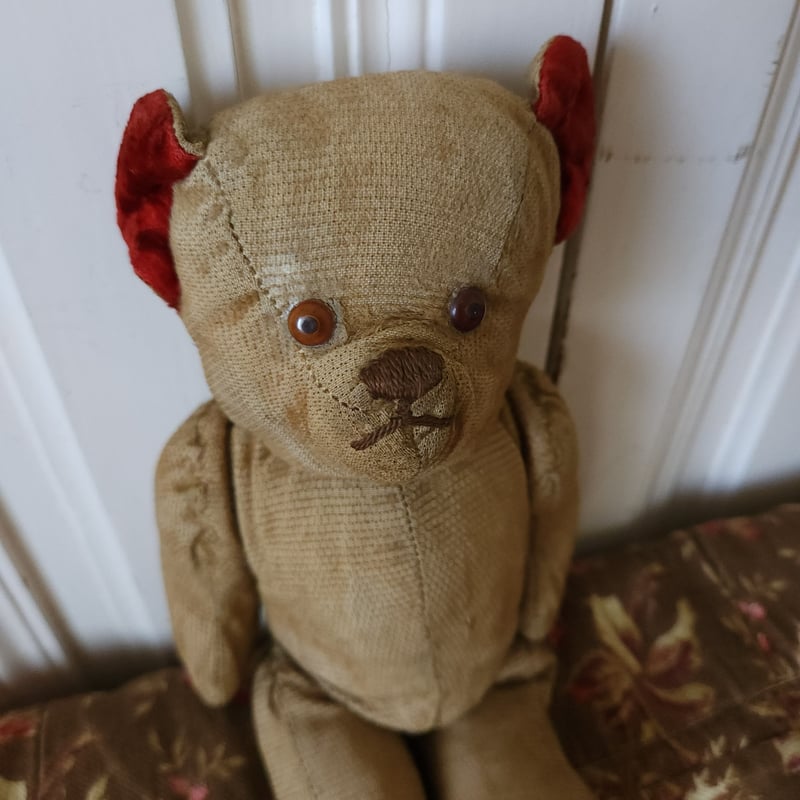 赤耳のフレンチベア | リボンときどきネコ