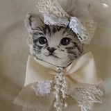 リボンときどきネコ