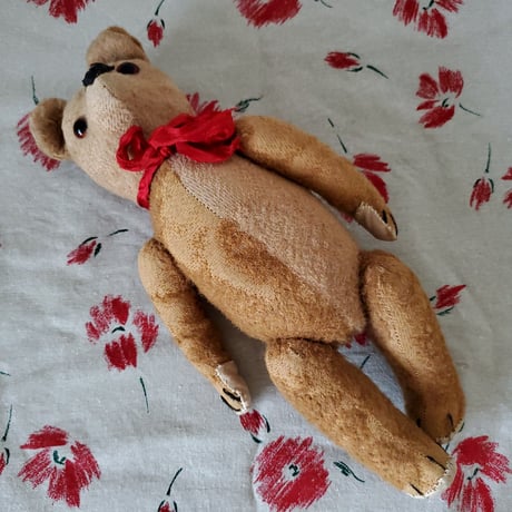 大きな目で見つめる胴長内股のクマちゃん