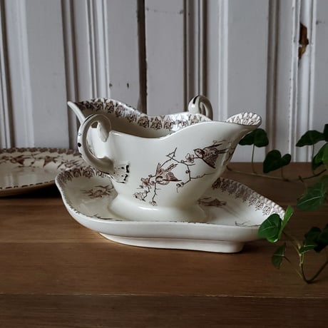 Choisy le Roi小鳥のソーシエール