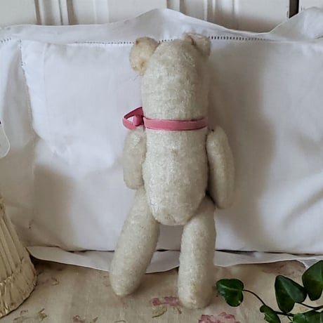 端正なお顔の白クマちゃん