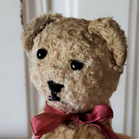 赤パッドの幼児体型クマちゃん
