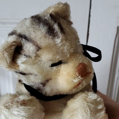 お眠り猫Floppy kitty Cat