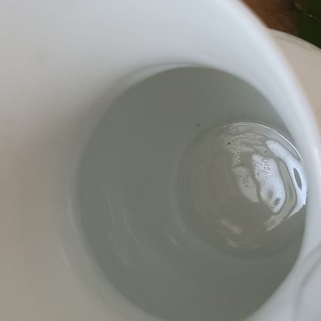 どっしりとした白いピシェ