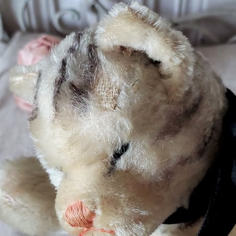 お眠り猫Floppy kitty Cat
