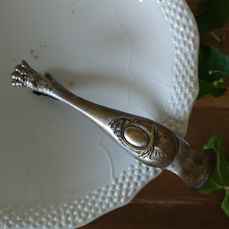 鳥獣爪のシュガートング大きめ | リボンときどきネコ