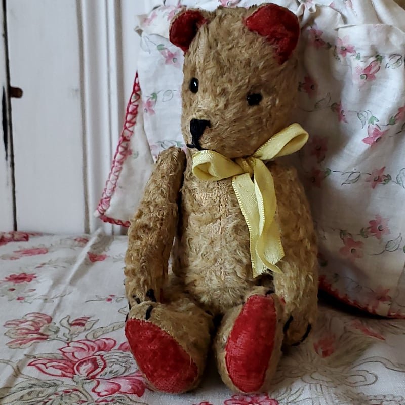 赤耳テディベア | リボンときどきネコ