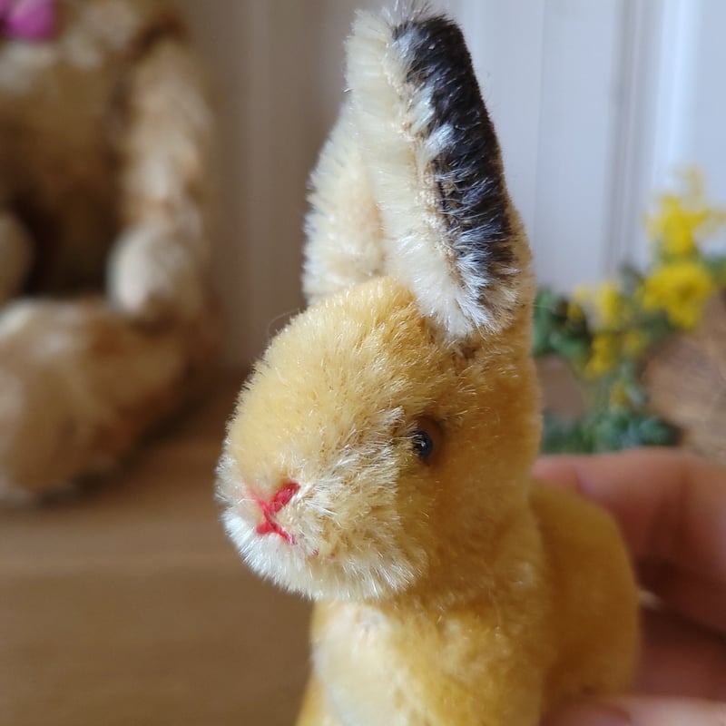 シュタイフ Steiff うさぎちゃんSonny