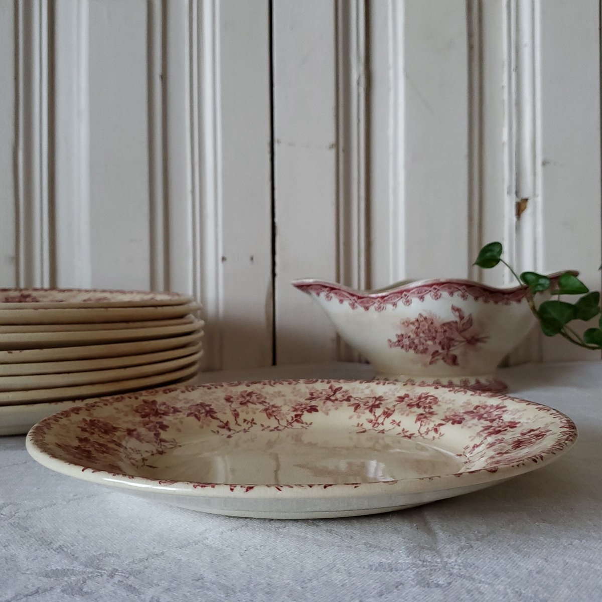 Choisy le roi 多色手彩色フランス薔薇リボンリラ