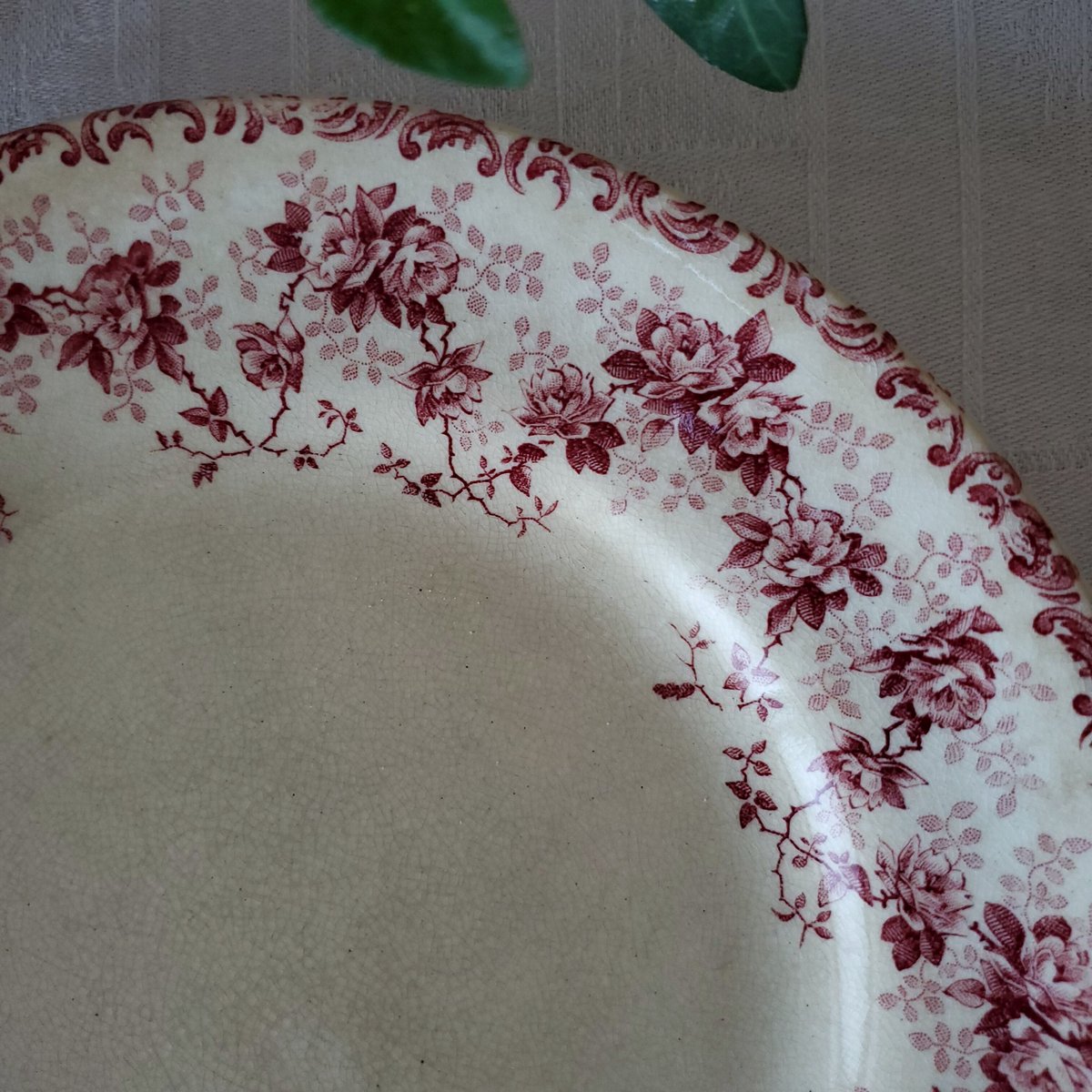 Choisy le roi 多色　手彩色　フランス　薔薇　リボン　リラ Choisy le Roi野バラ 