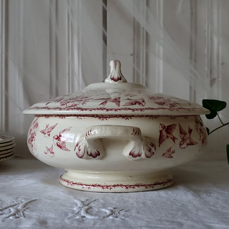 Choisy le Roi小鳥とワイルドローズ赤絵のレギュミエ | リボン