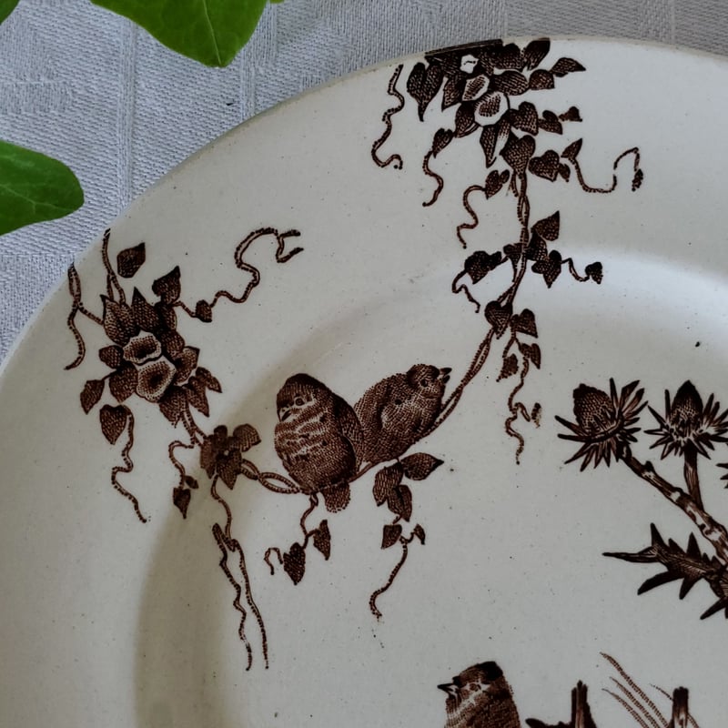 クレイユモントロー“Chardonneret”のデザートプレート | リボン