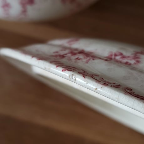 Choisy le Roi野バラ "ROYAN"シリーズ 色づいたスーピエール