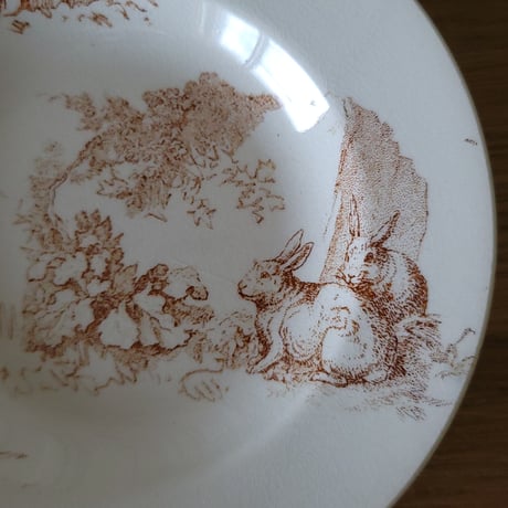 Choisy Le Roiディネットうさぎと猫