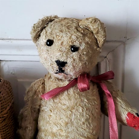 赤パッドの幼児体型クマちゃん