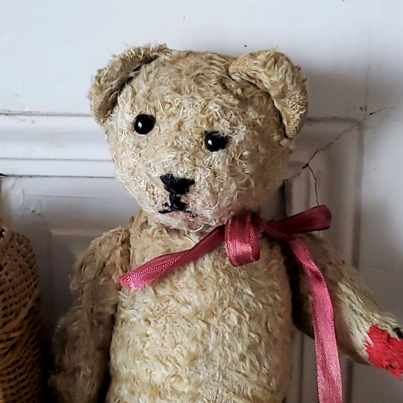 赤パッドの幼児体型クマちゃん | リボンときどきネコ