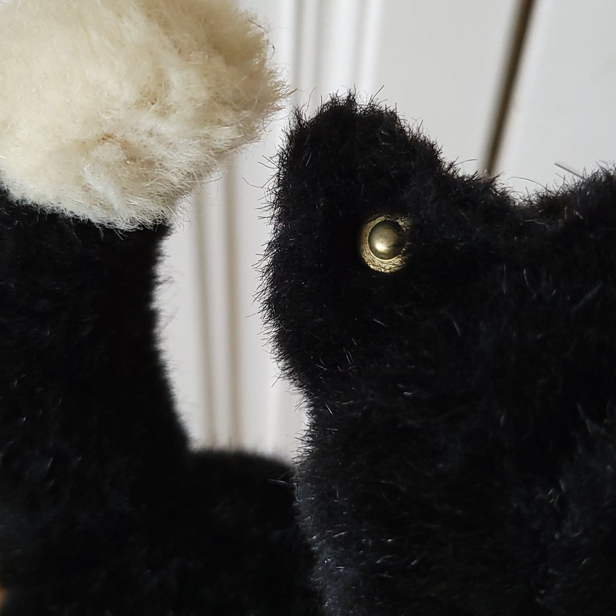 シュタイフ 黒猫 | リボンときどきネコ シュタイフ 黒猫 | リボンときどきネコ