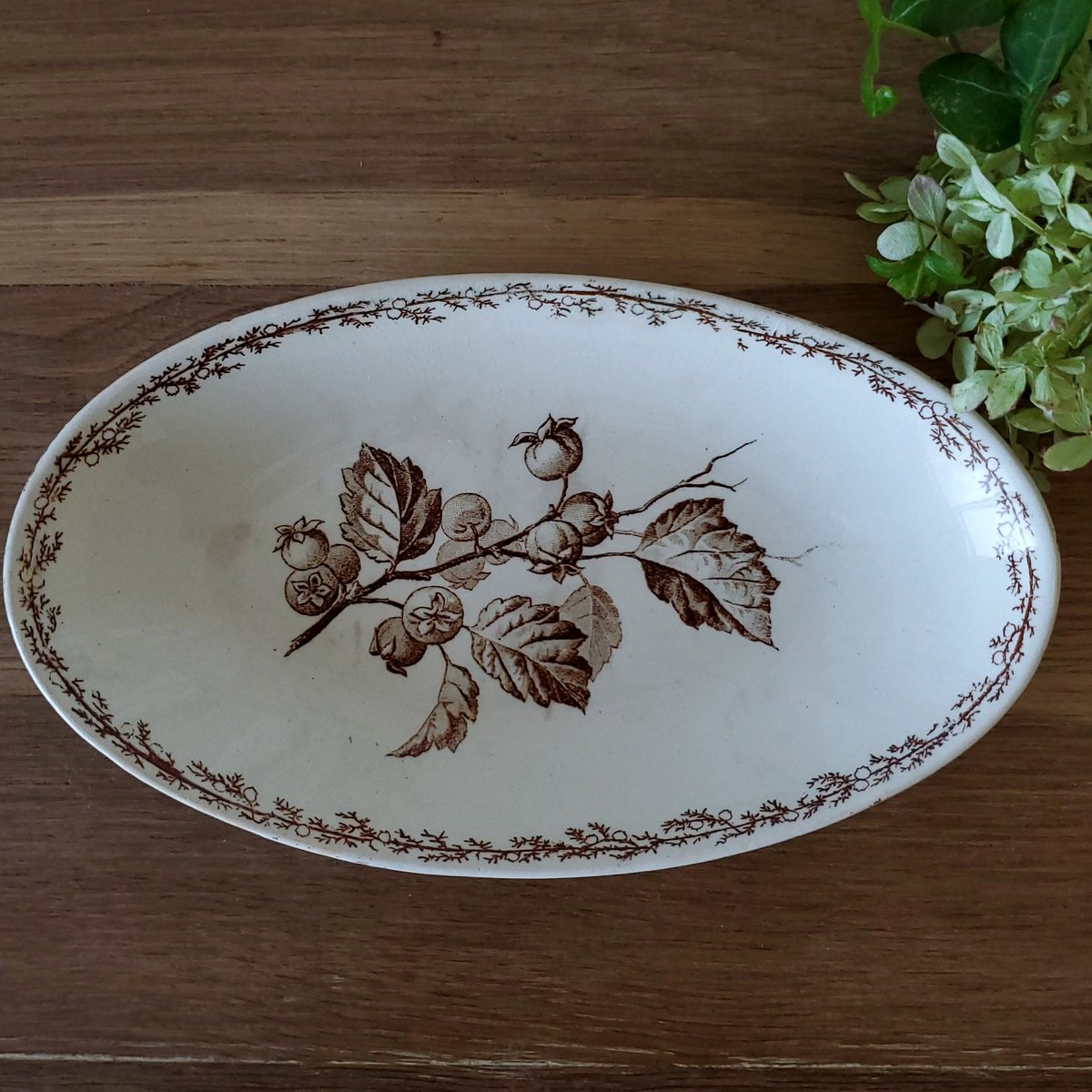 クレイユモントロー SYLVAのラヴィエプレート | リボンときどきネコ