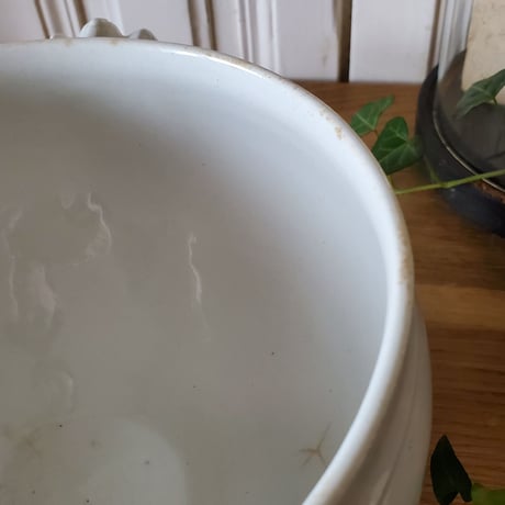 白いスーピエール