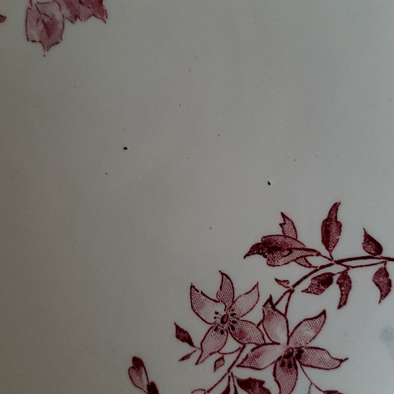 サルグミンヌコンポティエ“FAVORI” | リボンときどきネコ