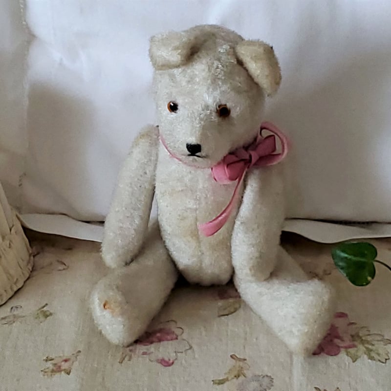 端正なお顔の白クマちゃん | リボンときどきネコ