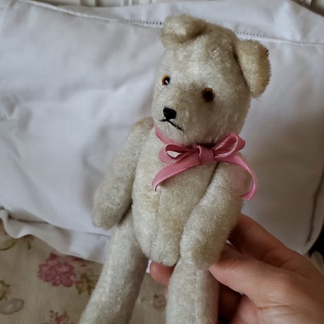 端正なお顔の白クマちゃん