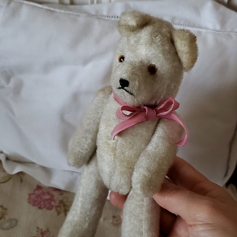 端正なお顔の白クマちゃん | リボンときどきネコ 端正なお顔の白クマちゃん | リボンときどきネコ