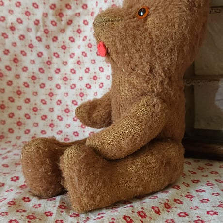 舌をしまい忘れたピーナッツベアちゃん