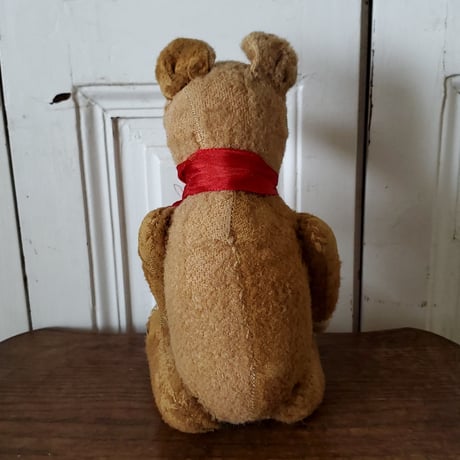 大きな目で見つめる胴長内股のクマちゃん