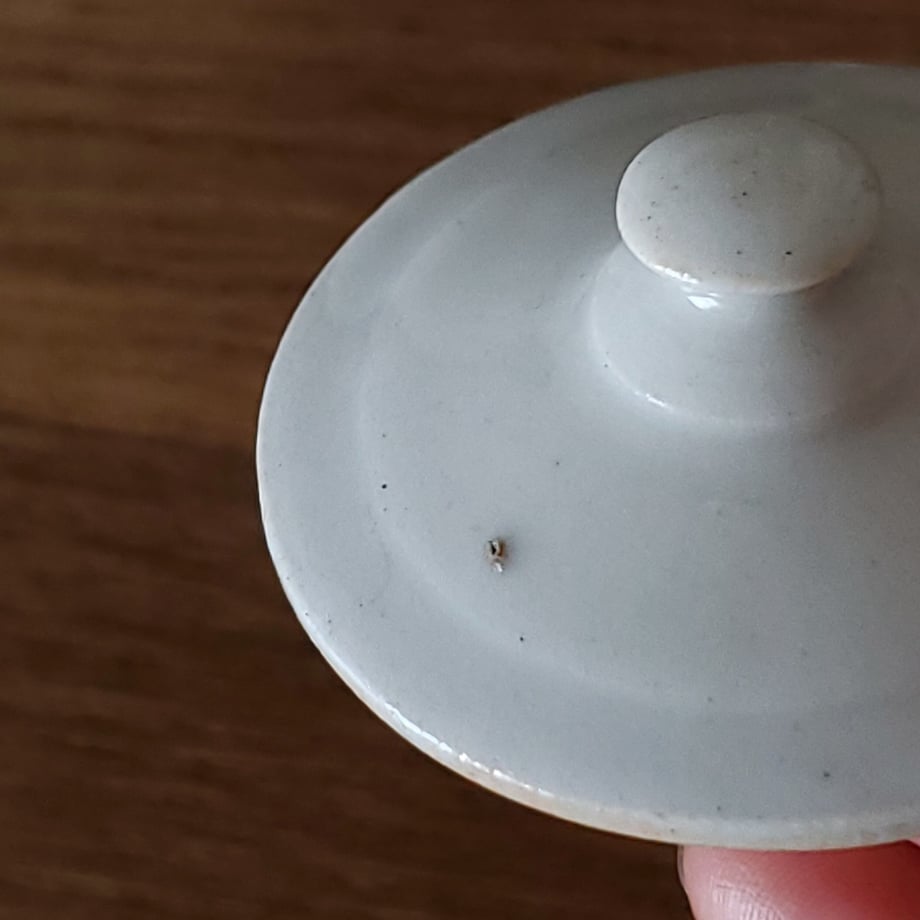 6248088465d2a31a17a91ada