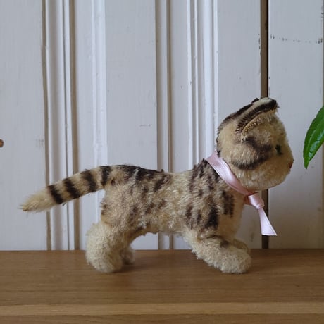 シュタイフ ネコのTabby小