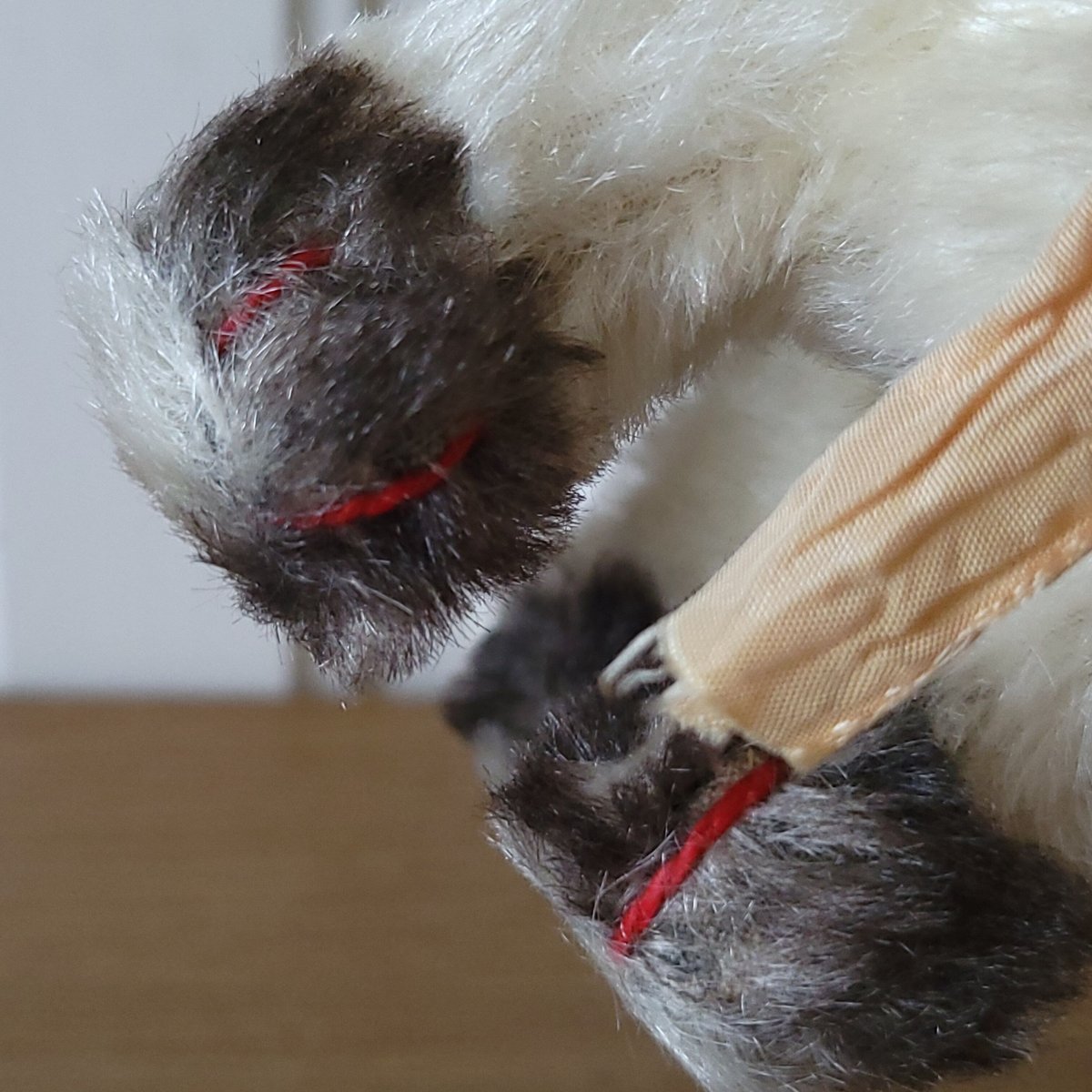 シュタイフGussy Cat オープンマウス