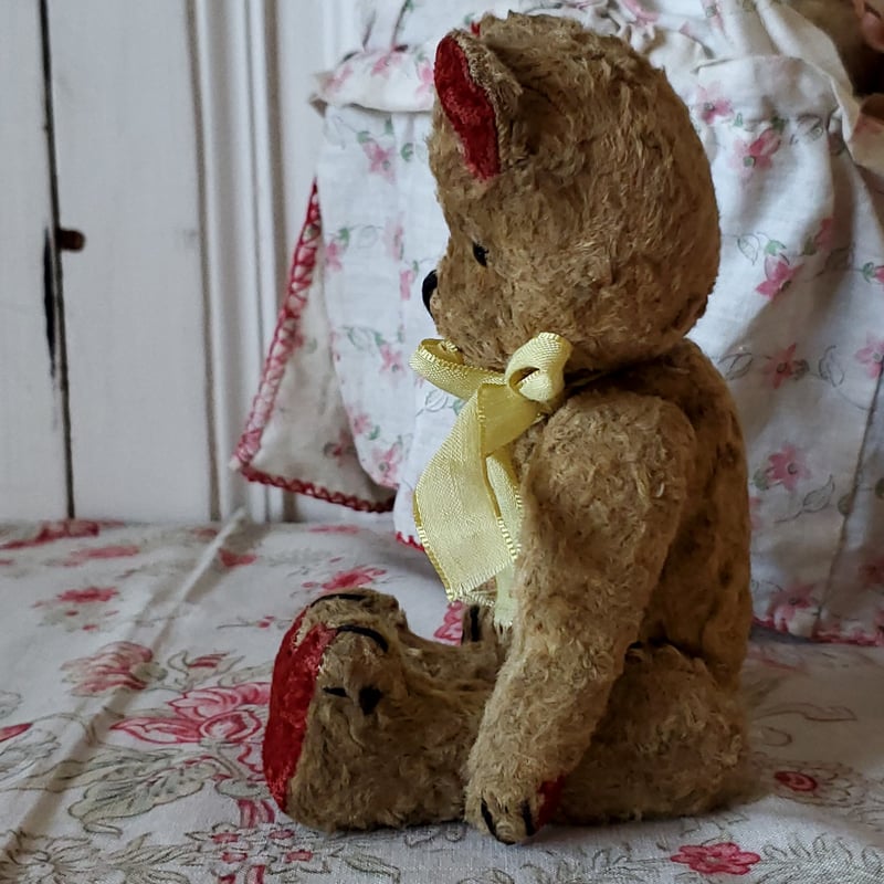 赤耳テディベア | リボンときどきネコ