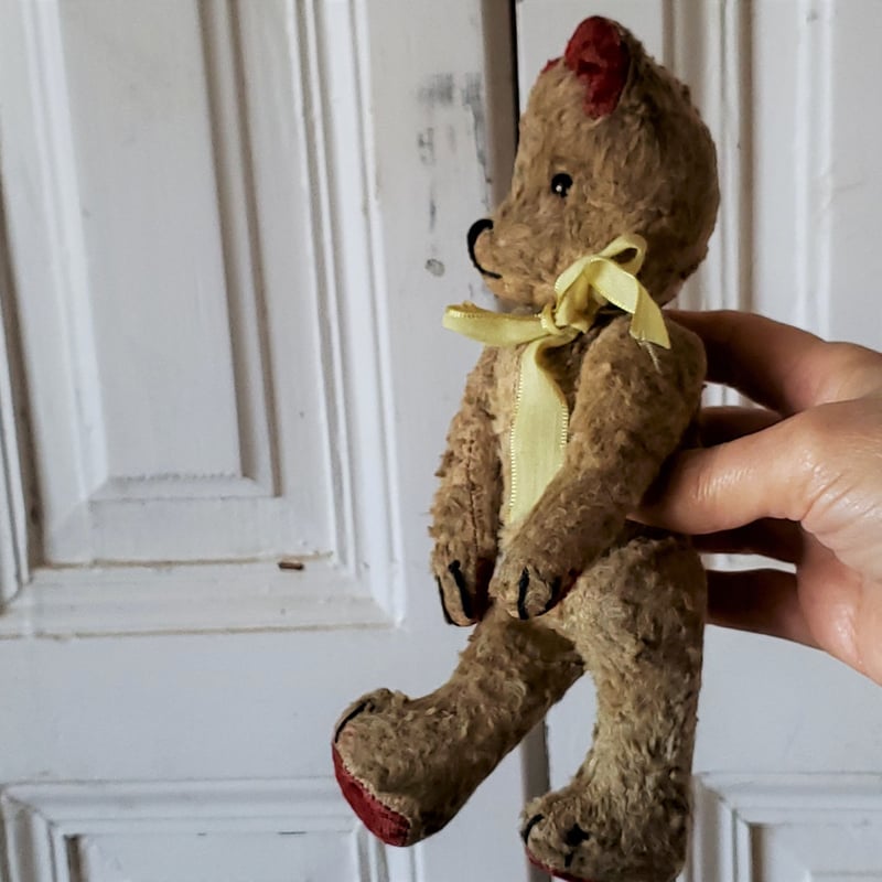 赤耳テディベア | リボンときどきネコ