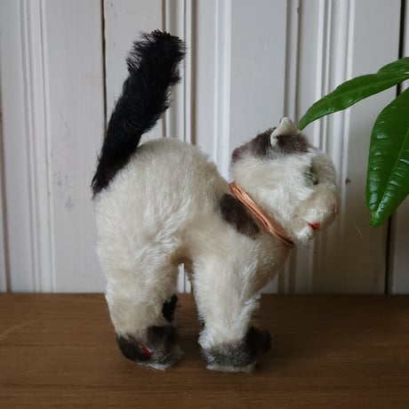 シュタイフ オープンマウスのGUSSY
