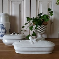 サルグミンヌ ポワソン皿／花リムロングオーバルプレート | リボン