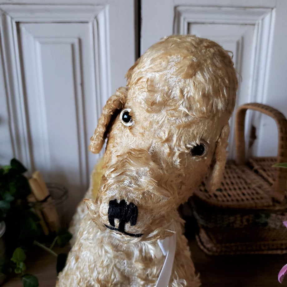 61b5a2f02ee5c2722a40794e