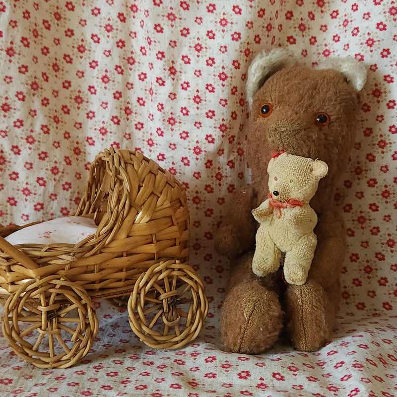 舌をしまい忘れたピーナッツベアちゃん | リボンときどきネコ