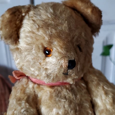 口元がほほ笑むクマちゃん