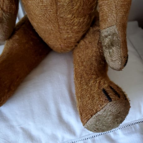ショコラ色のテディベア