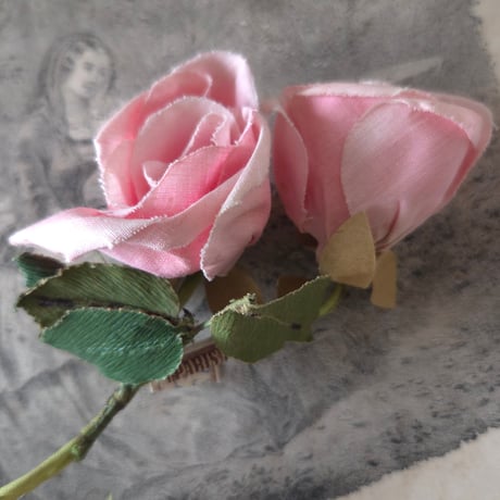 タグ付きピンク薔薇