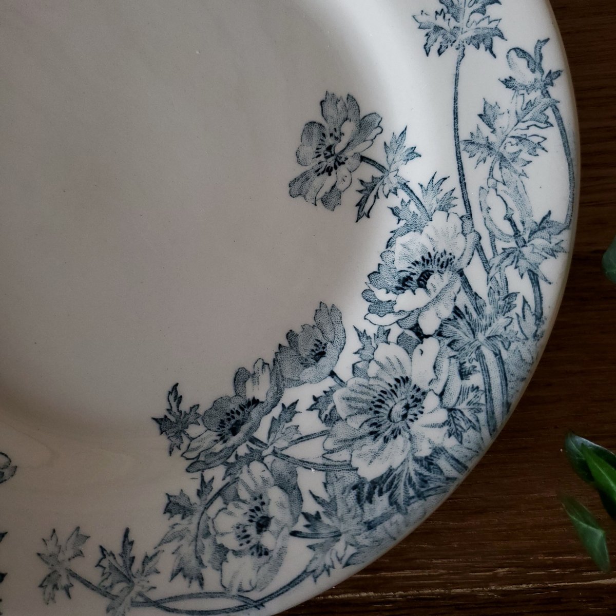 フランスアンティーク Gien ジアン Anemones アネモネ ２枚セット Gien【ジアン】“ANEMONES”デザートプレート(数量3) | Antique