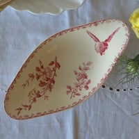 サルグミンヌ“FAVORI”ラヴィエ
