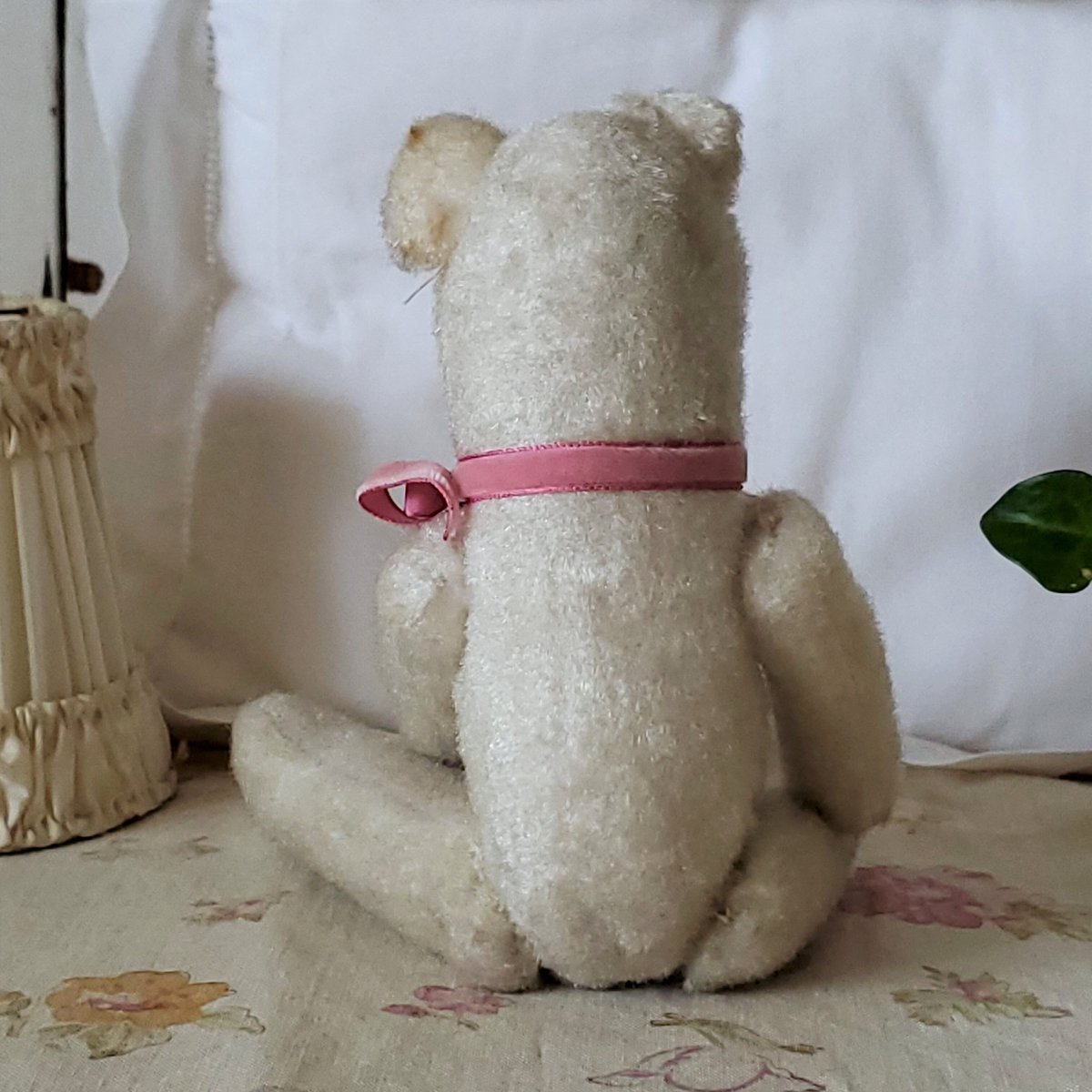 端正なお顔の白クマちゃん | リボンときどきネコ