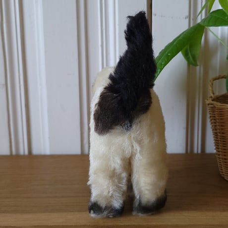 シュタイフ オープンマウスのGUSSY