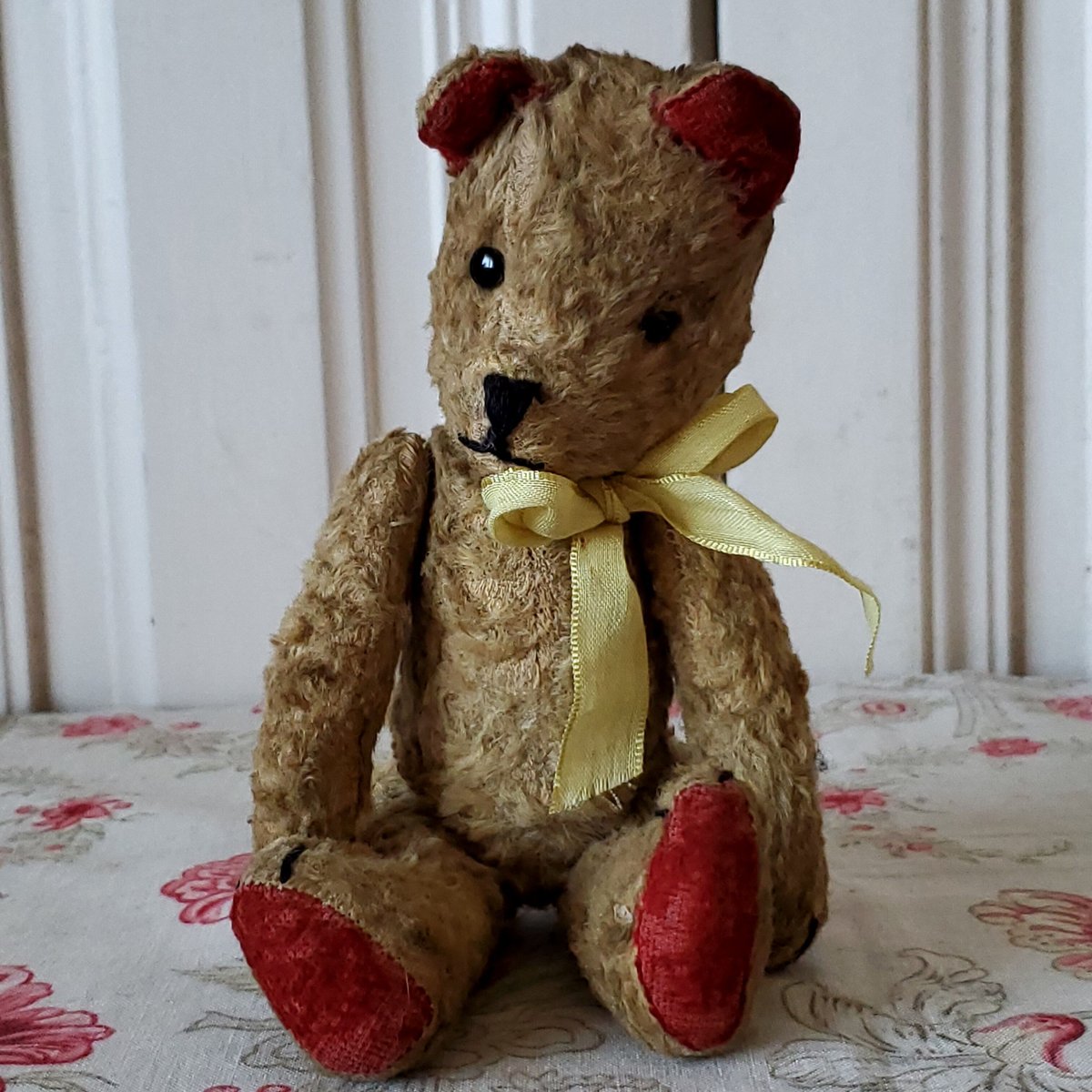 テディベア♡赤リボン 赤耳テディベア | リボンときどきネコ