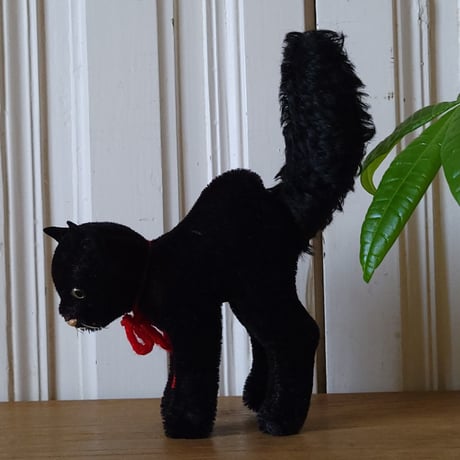 黒猫のトムキャット