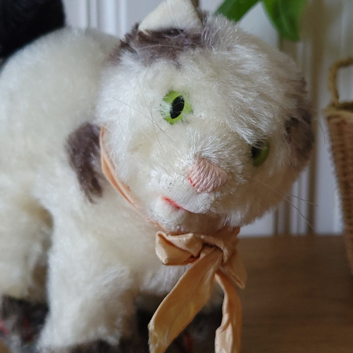 シュタイフ★Young Kitty Gussy★1969年製 仔猫のグッシー fit=scale-down,w=1200