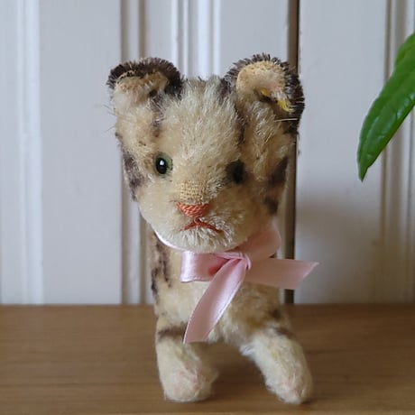 シュタイフ ネコのTabby小