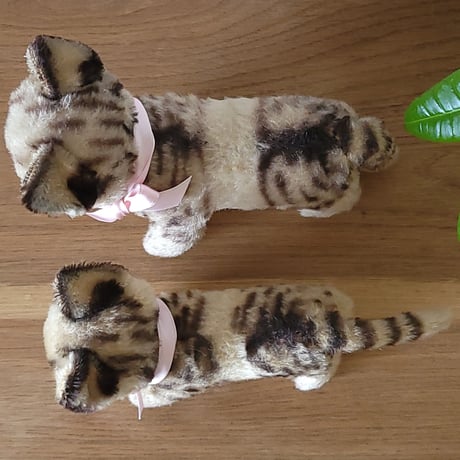 シュタイフ ネコのTabby小